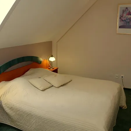 Hotel Udvarhaz 3*