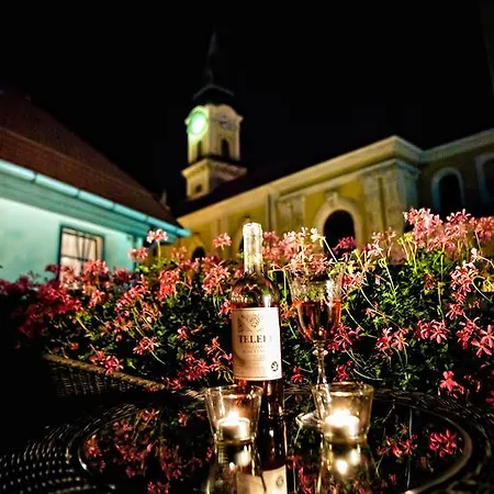 Hotel Udvarhaz Kecskemét